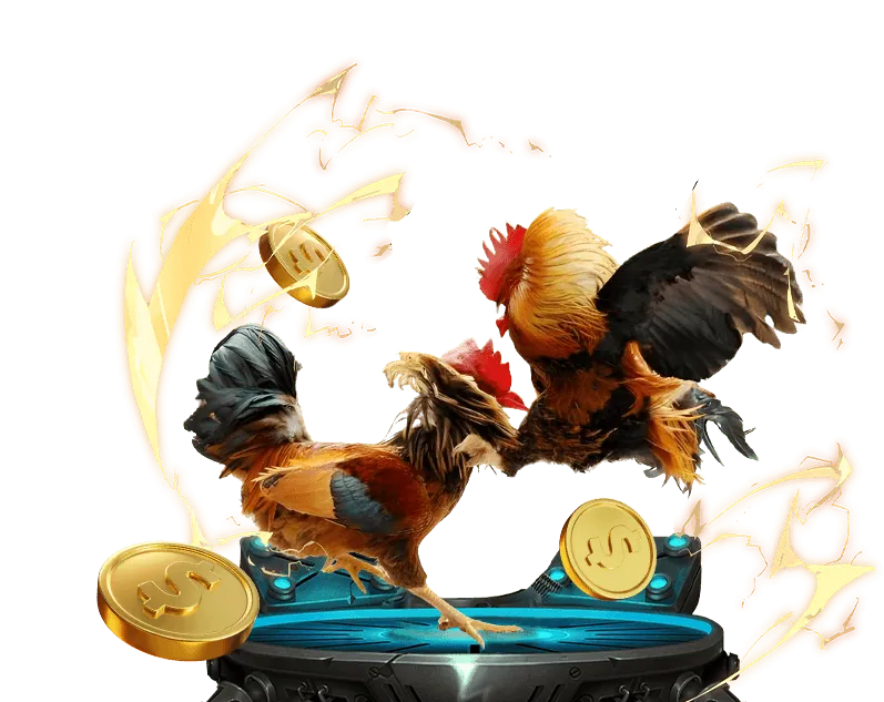 Đội ngũ 68gb 25 đang làm việc